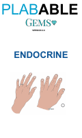 5- ENDOCRINE.pdf